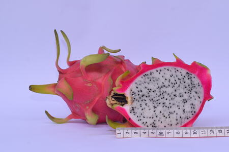 Dragon fruit slices